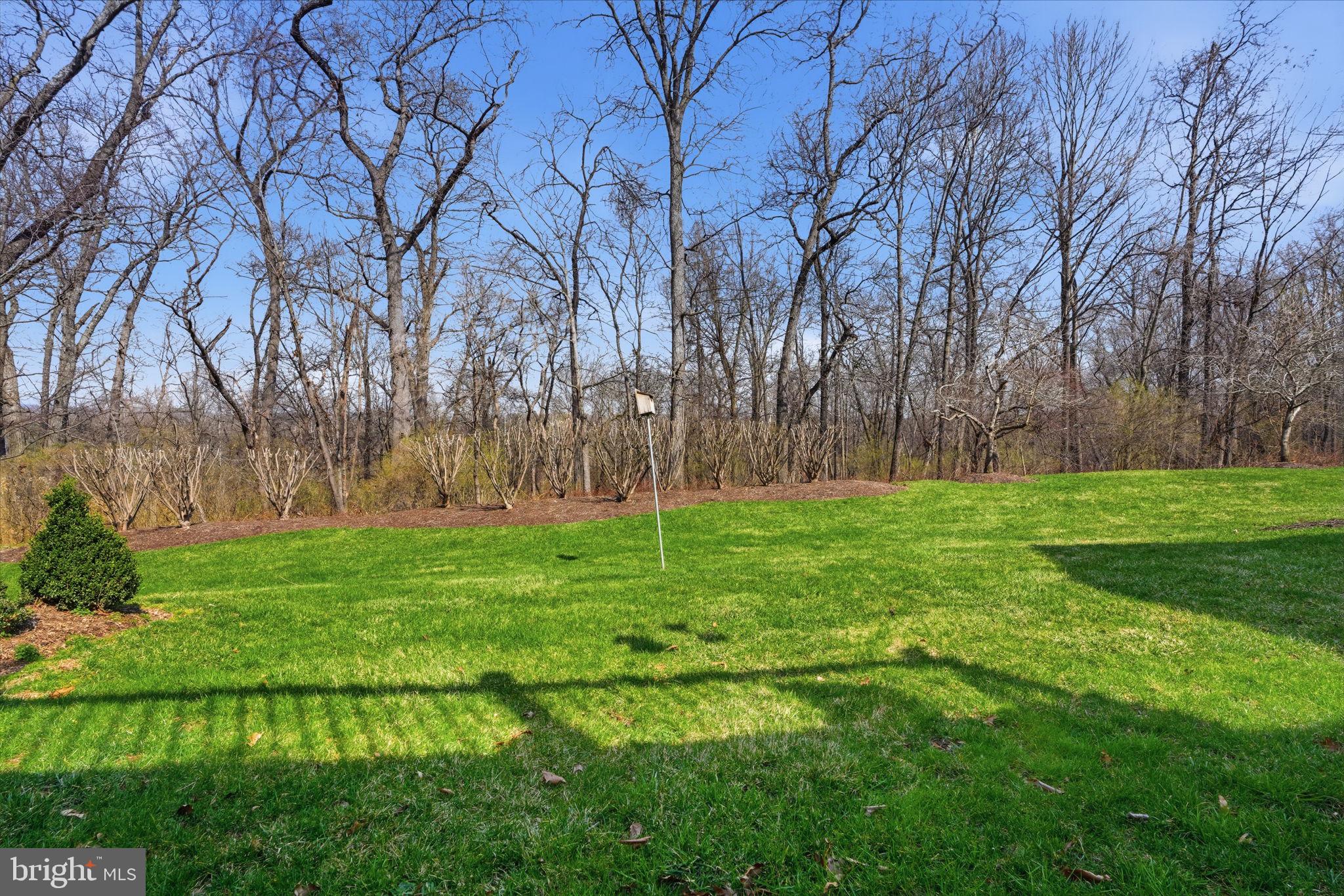 TRADITIONS AT WASH - Residential