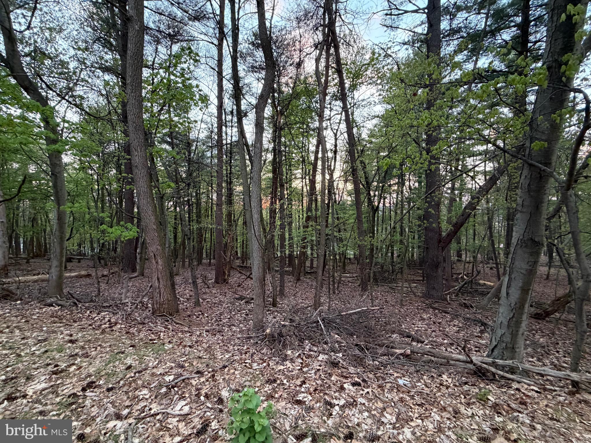 2394 CROW FOOT DRIVE