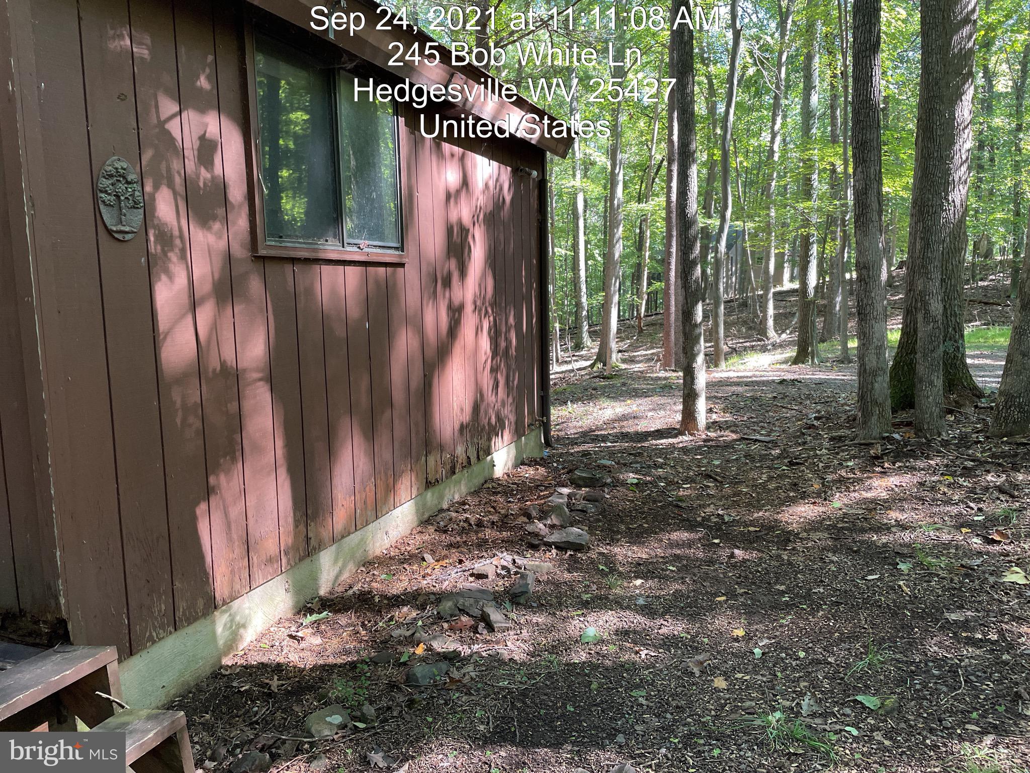 THE WOODS - Residential