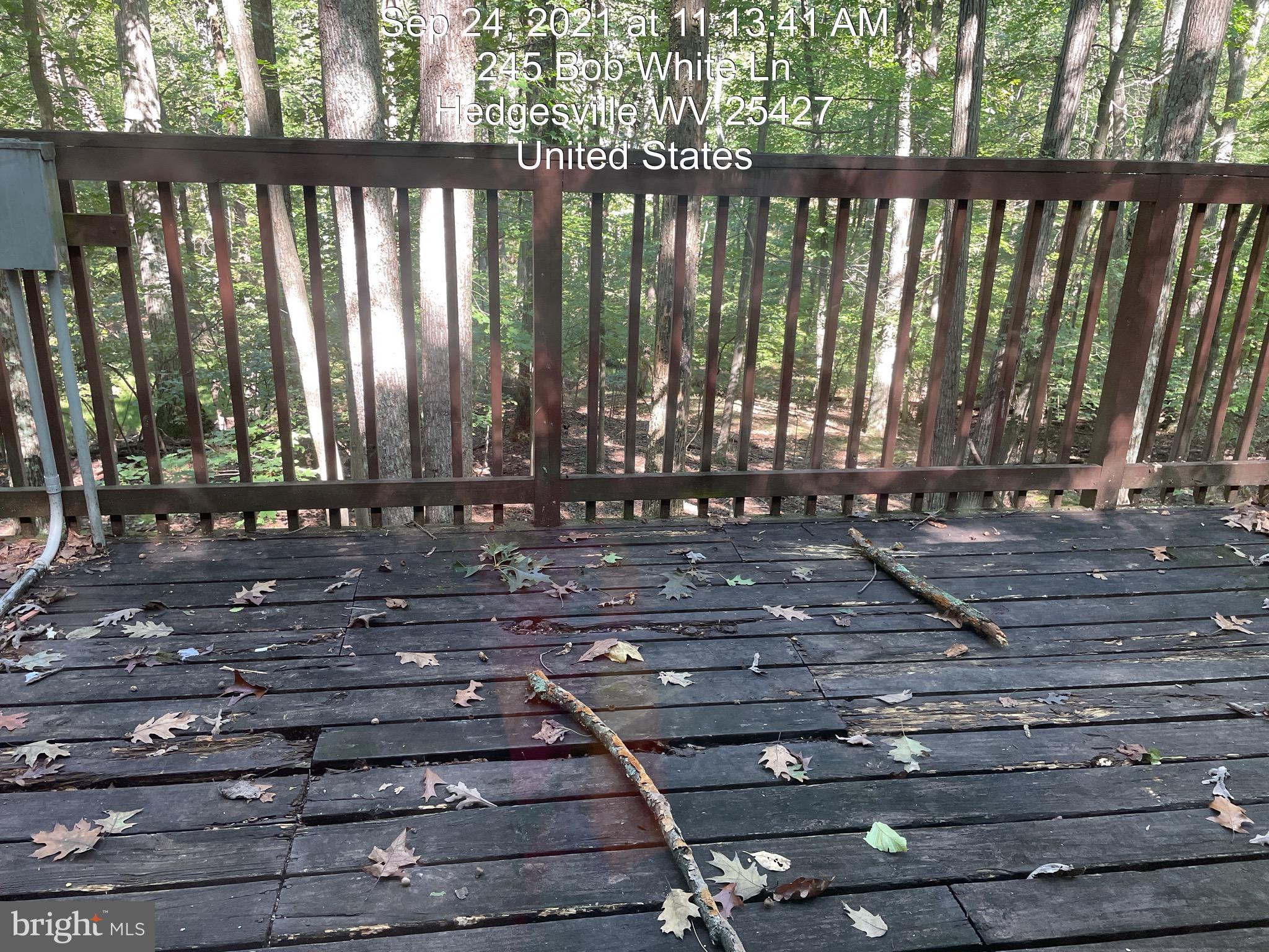 THE WOODS - Residential