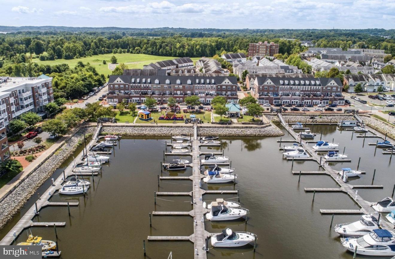 525 BELMONT BAY DRIVE 303