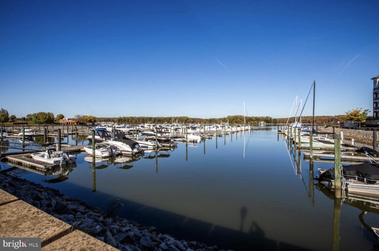 525 BELMONT BAY DRIVE 303