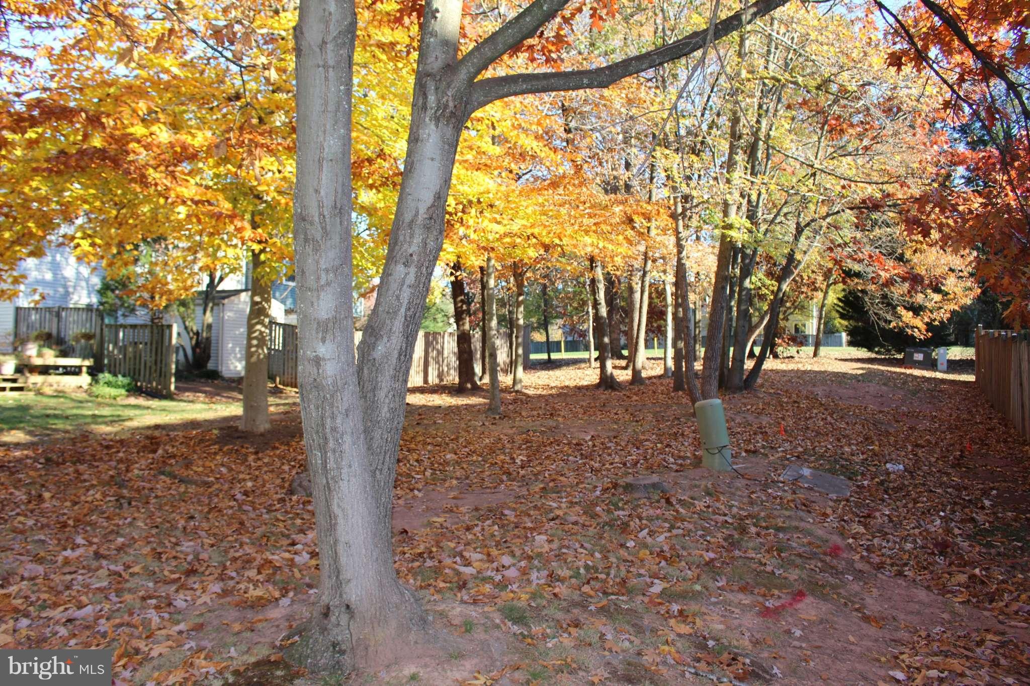 LONDON TOWN WEST - Residential Lease