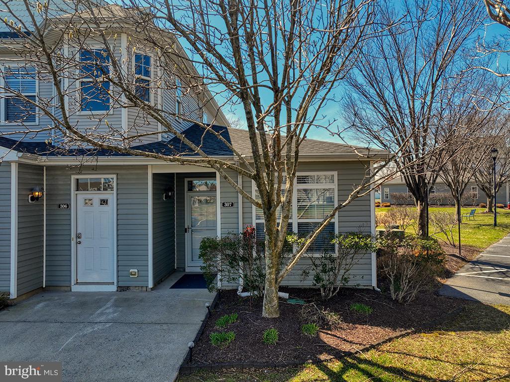 34673 VILLA CIRCLE 307