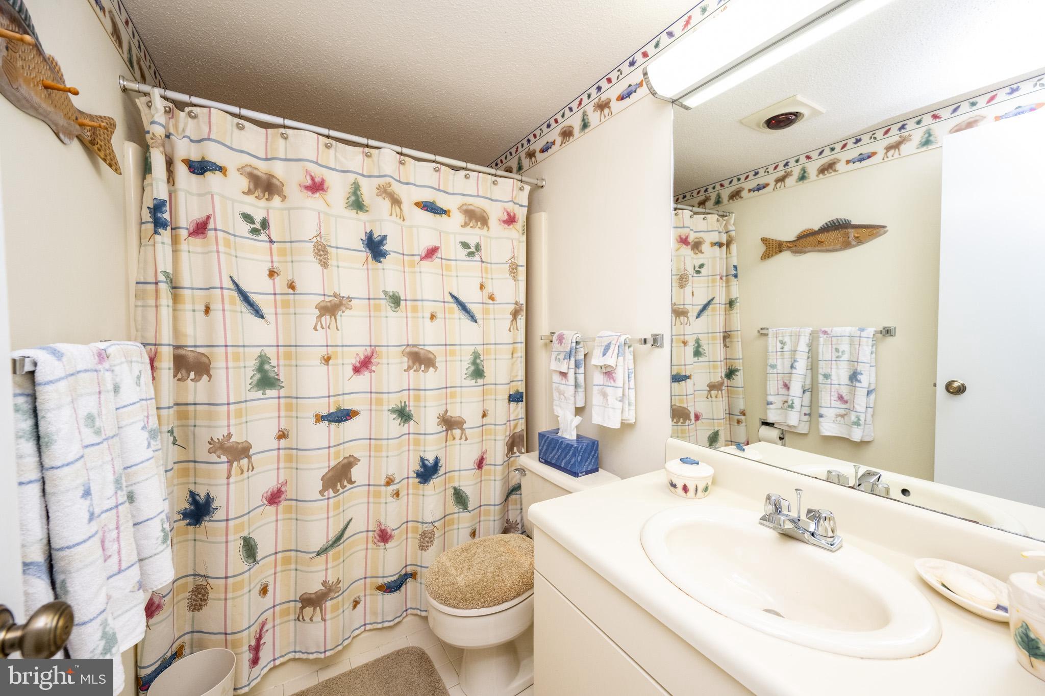 VILLAGES OF WISP - Residential