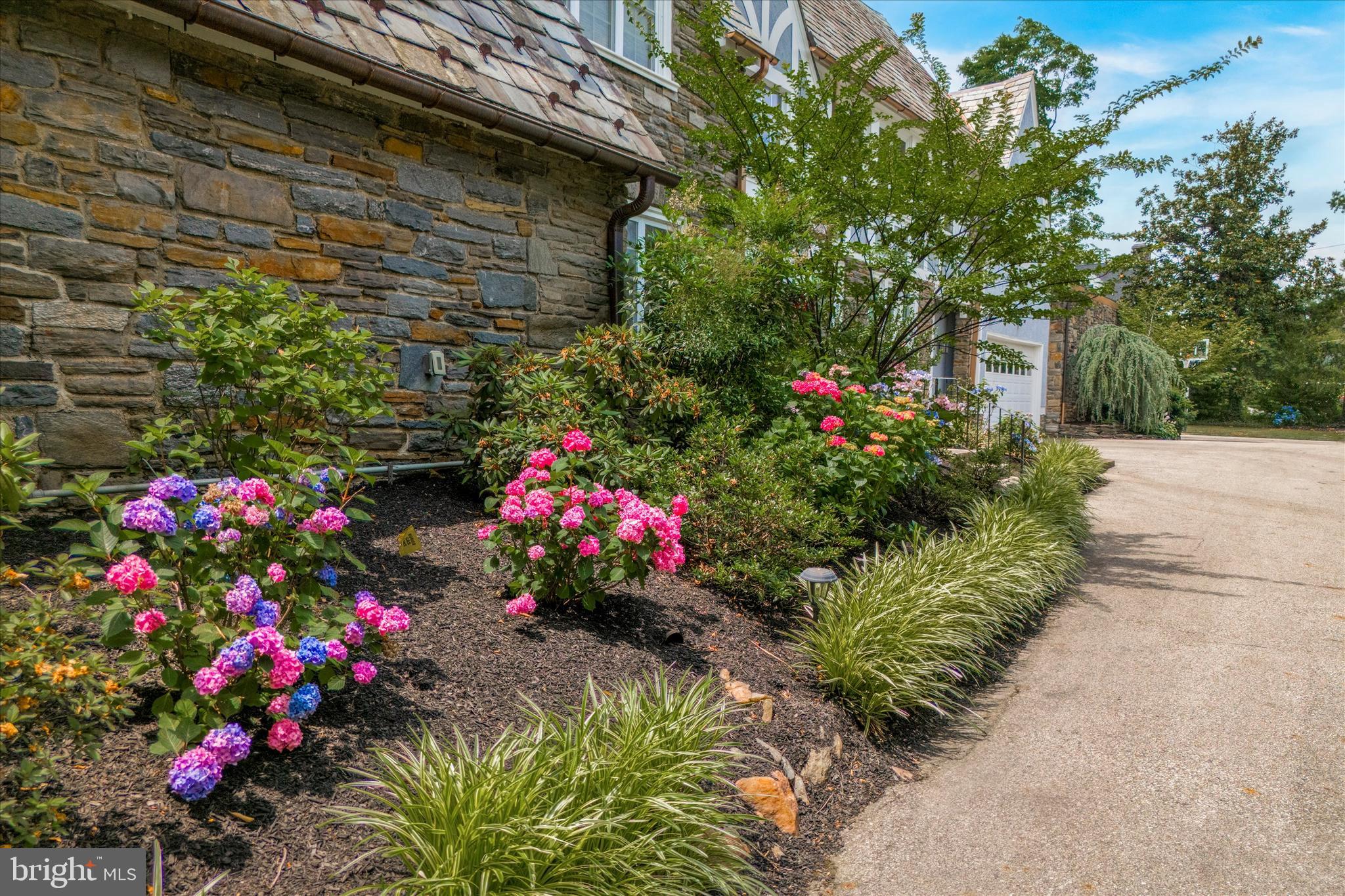 WYNNEWOOD - Residential