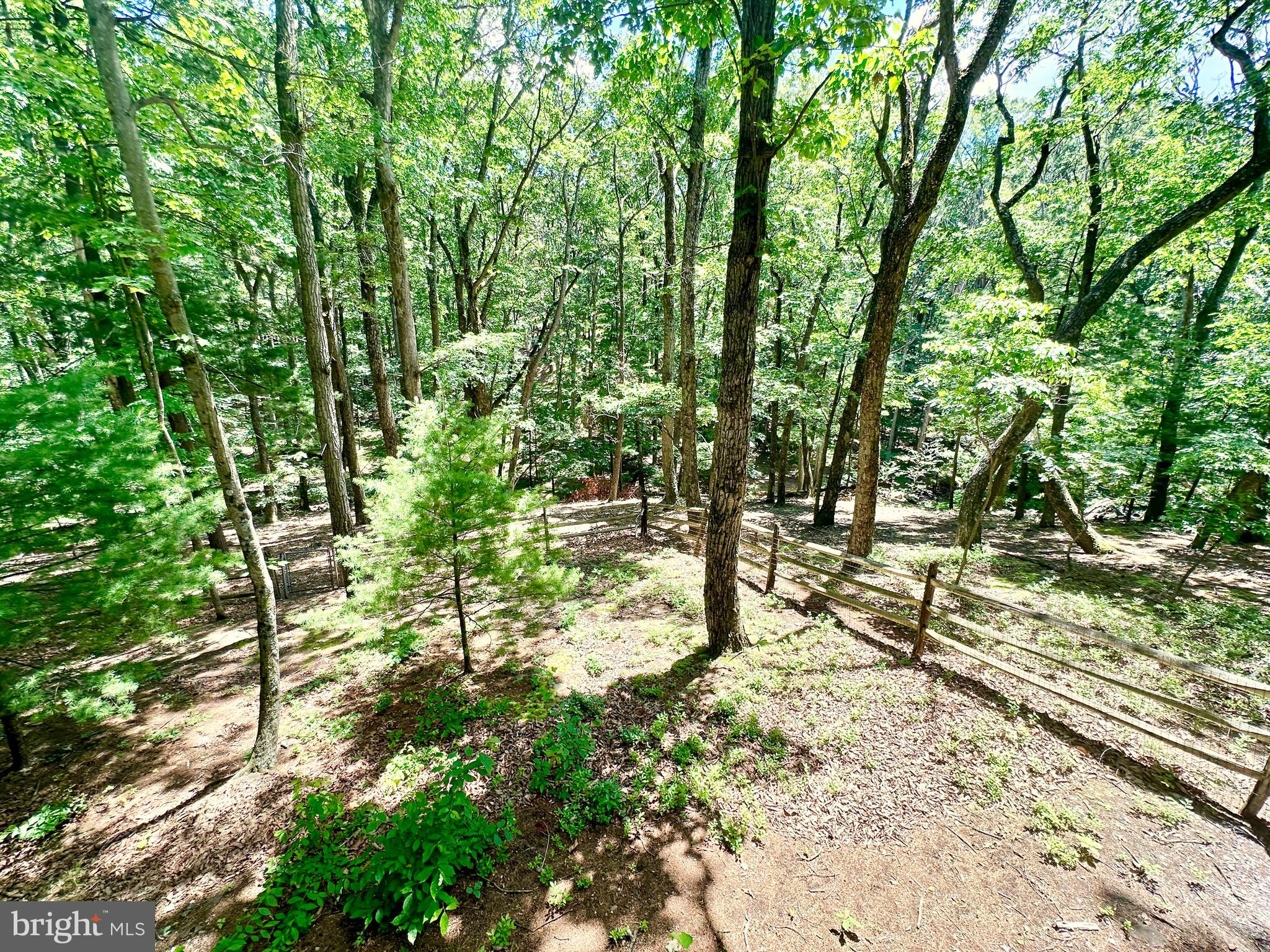 THE WOODS - Residential