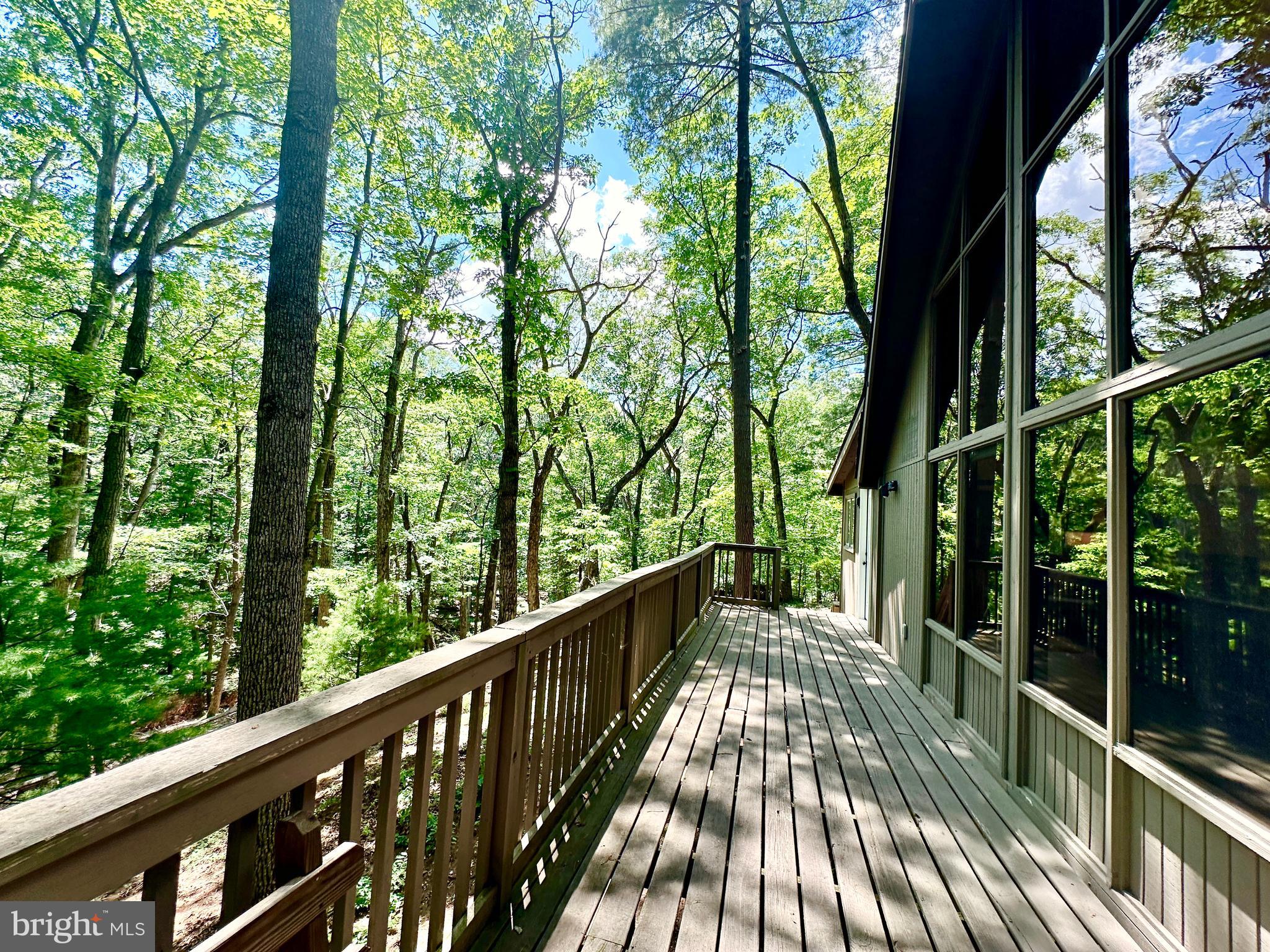 THE WOODS - Residential