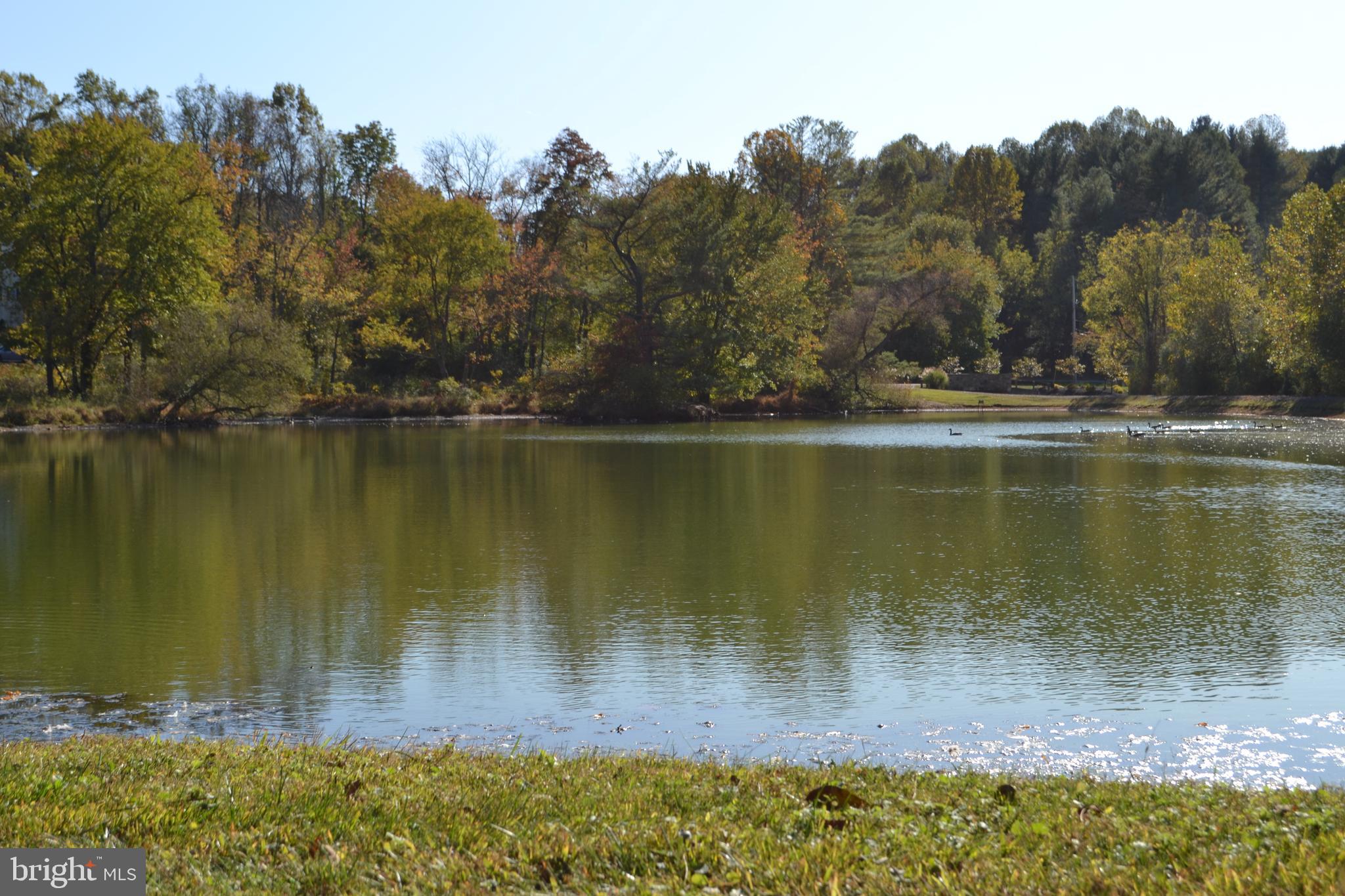 COURTS AT LONGWOOD - Residential