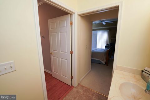 listing image 38