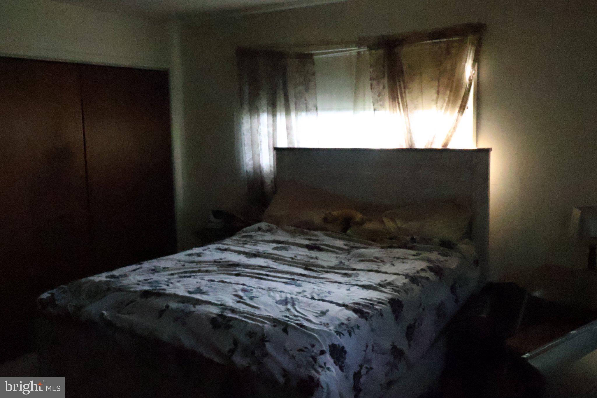 WHITE MARSH MDWS - Residential