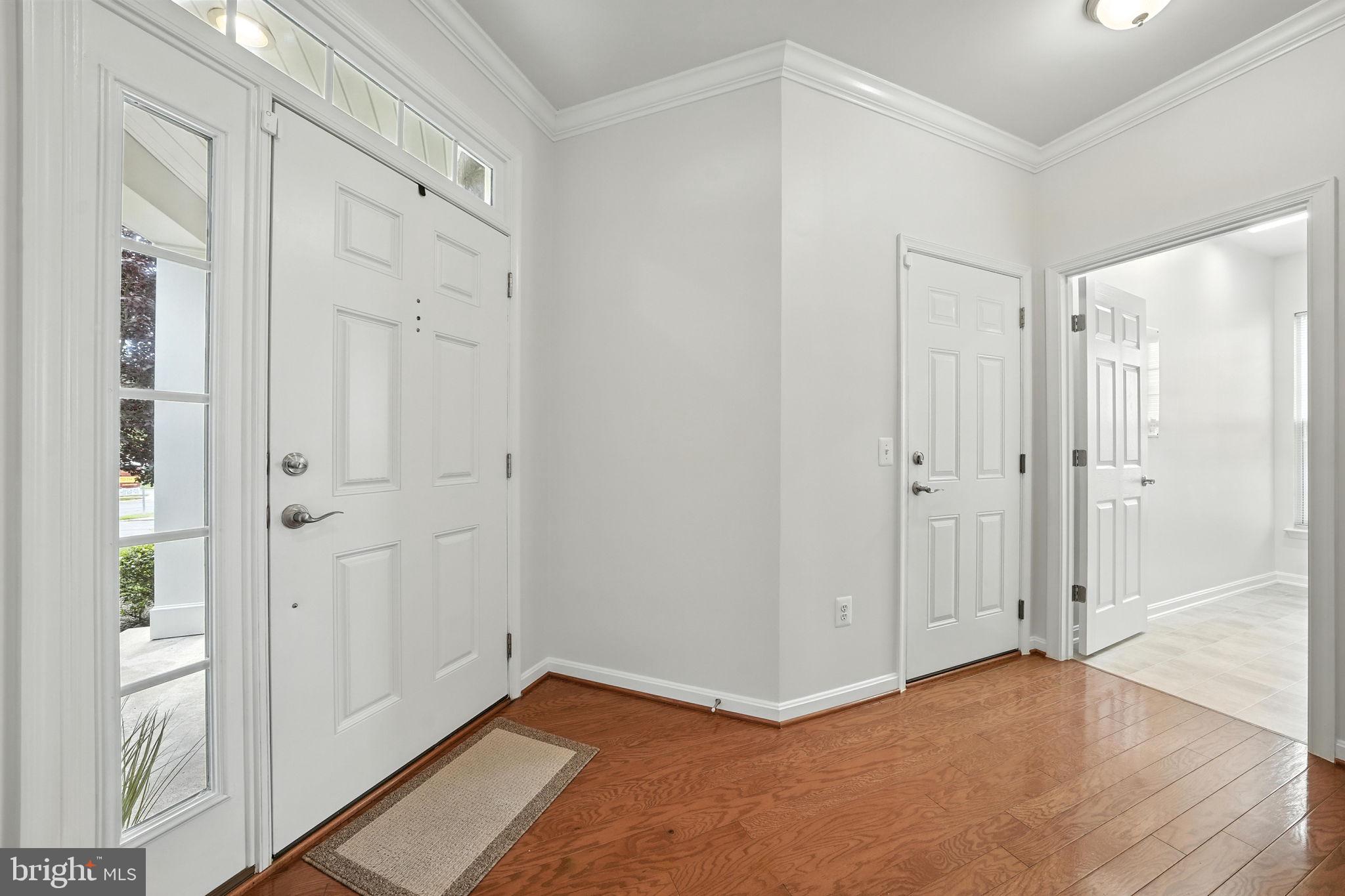 16600 DOWNY FLAKE MEWS