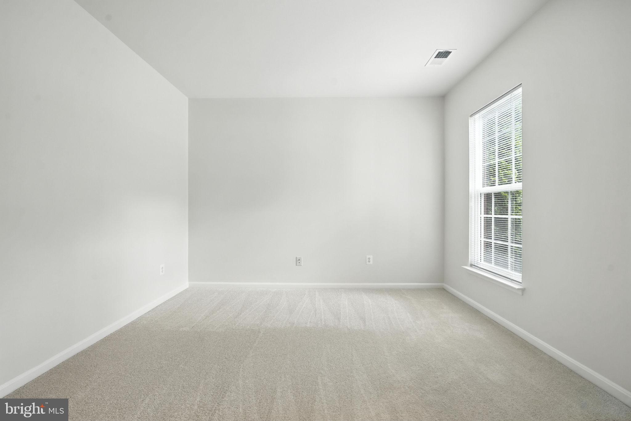16600 DOWNY FLAKE MEWS