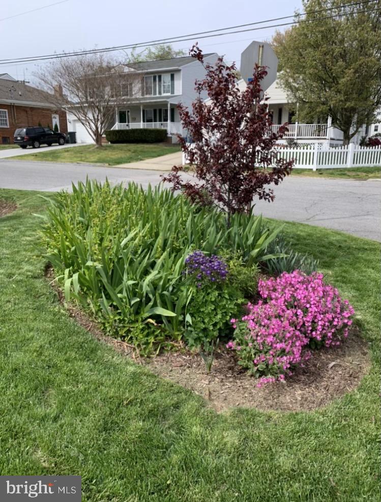 HOMEWOOD - Residential