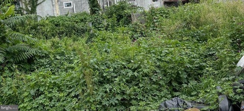 Vacant Land For Sale - 621 W Courtland Street<br/> PHILADELPHIA, PA 19140