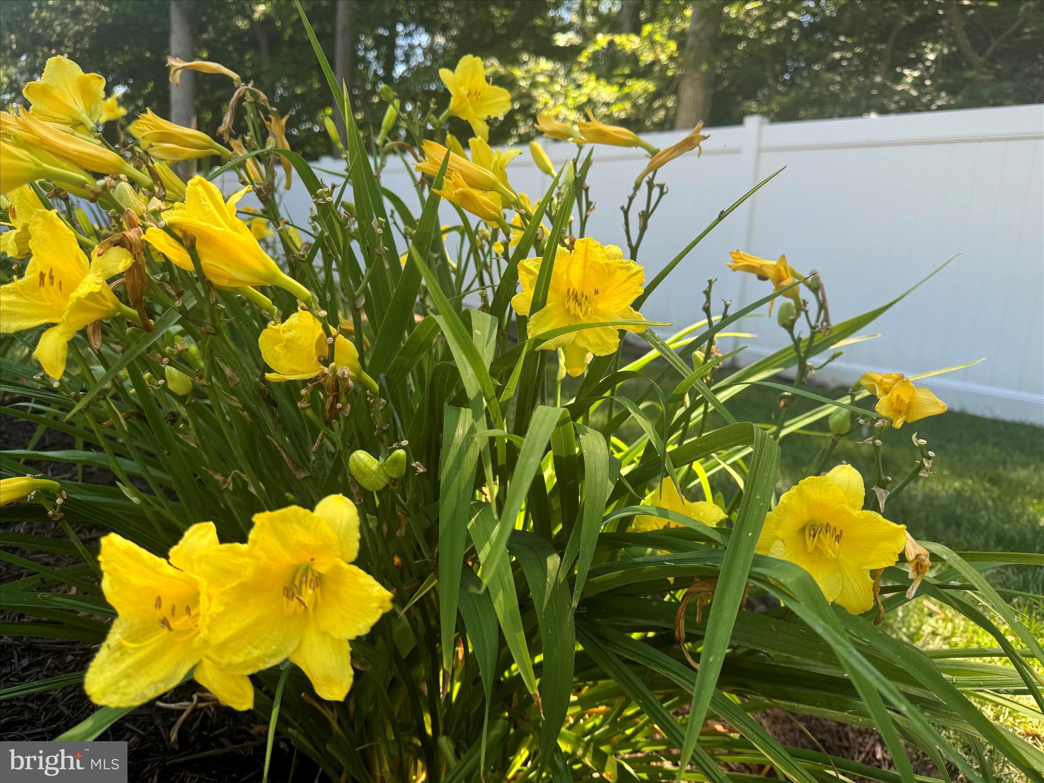 LAKEVIEW ESTATES - Residential