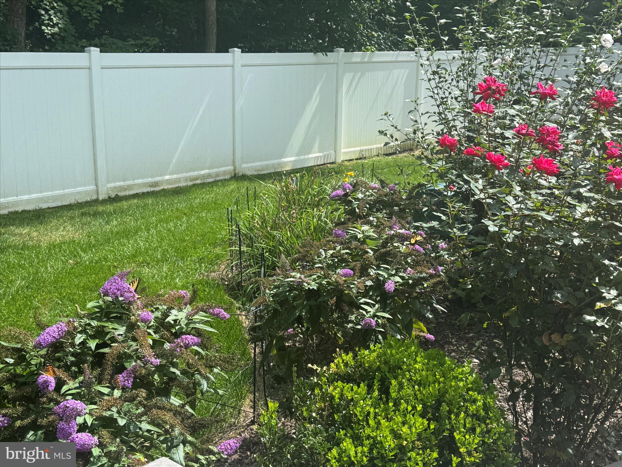 LAKEVIEW ESTATES - Residential