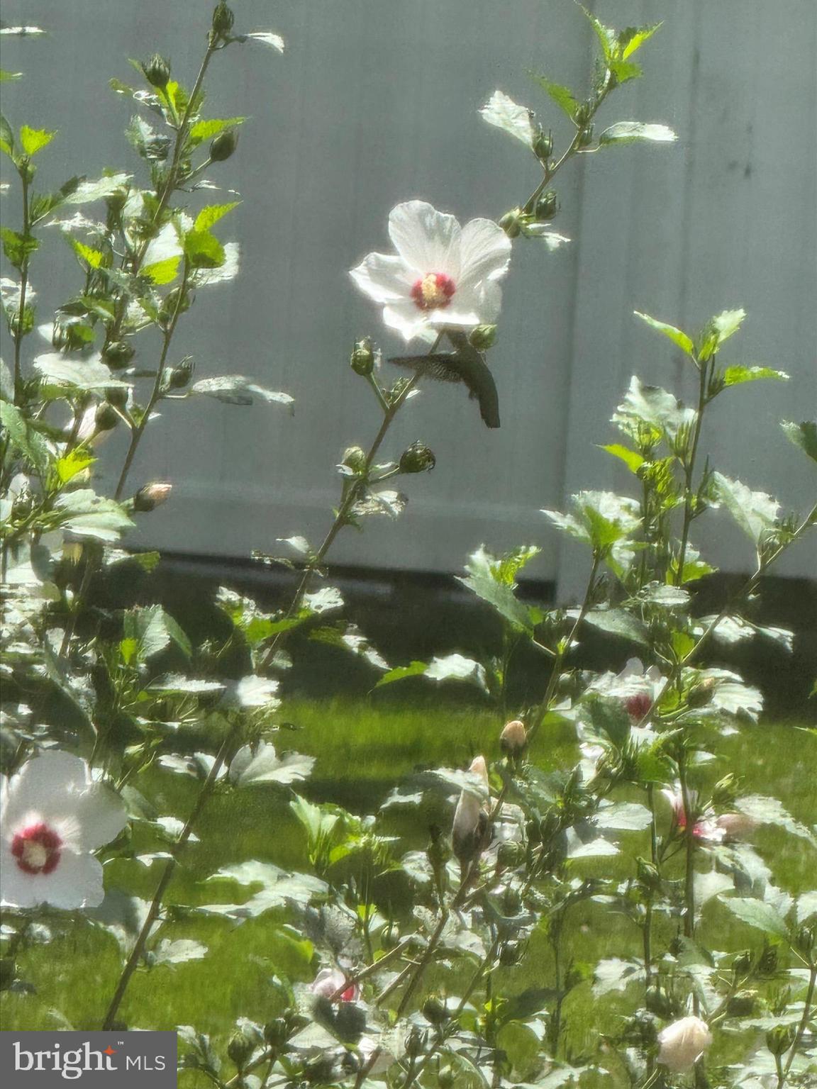 LAKEVIEW ESTATES - Residential