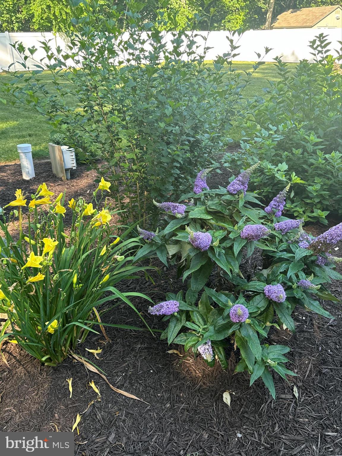 LAKEVIEW ESTATES - Residential