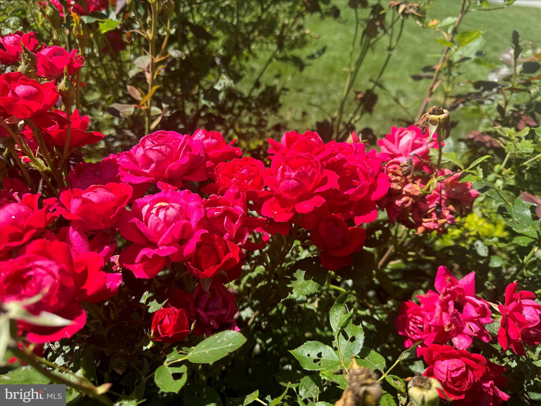 LAKEVIEW ESTATES - Residential