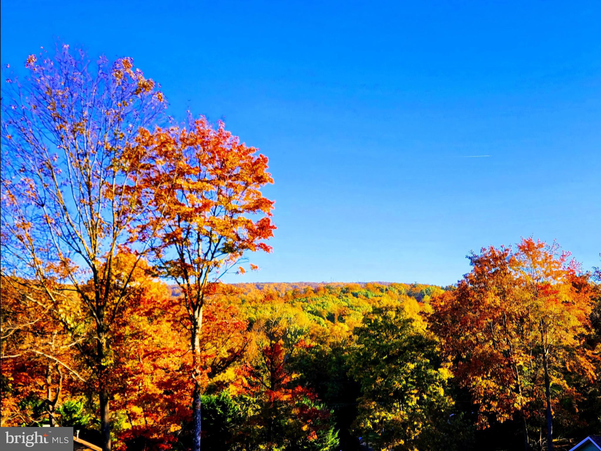 SHEN FARMS MT LAKE - Residential