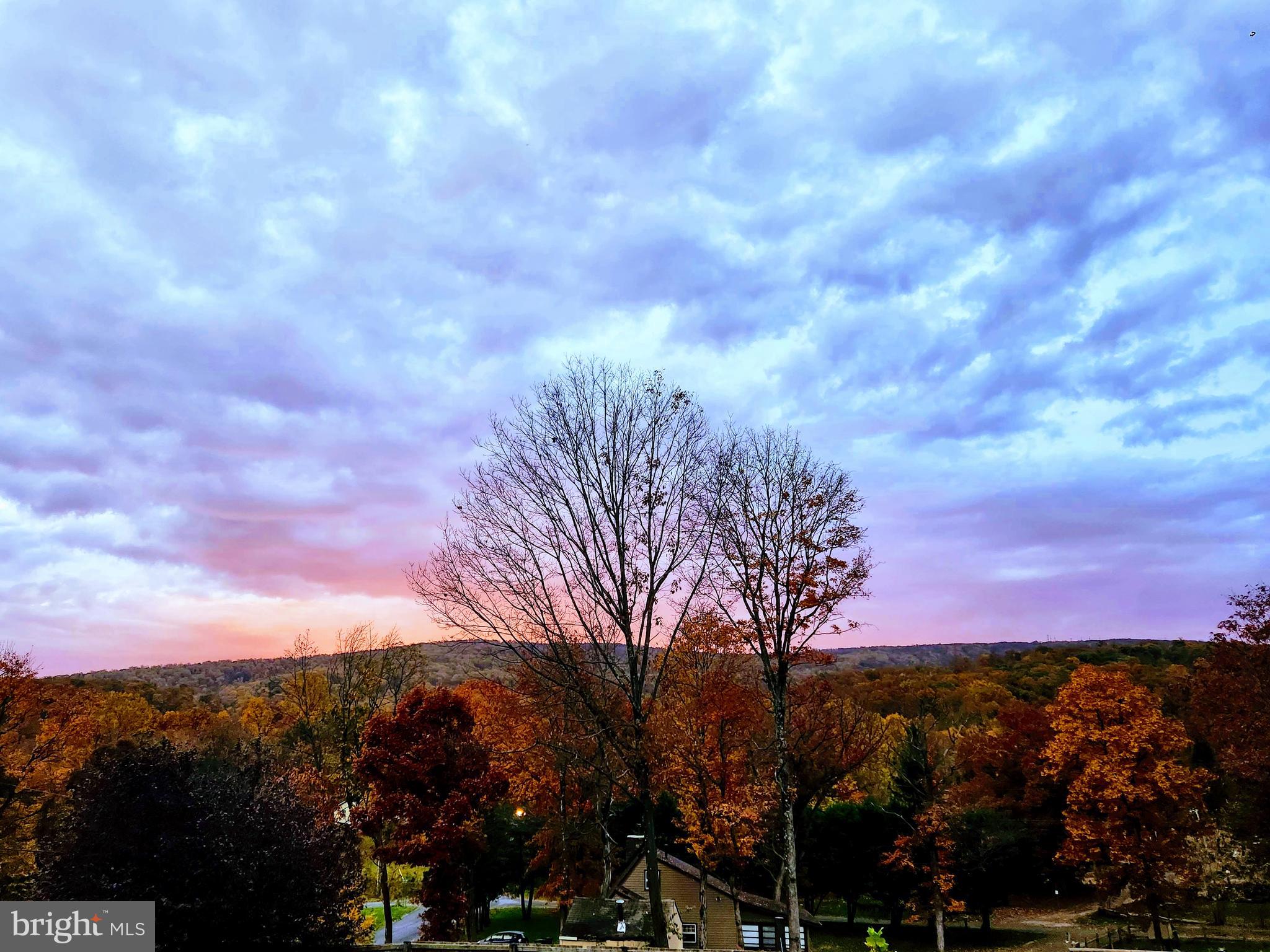 SHEN FARMS MT LAKE - Residential