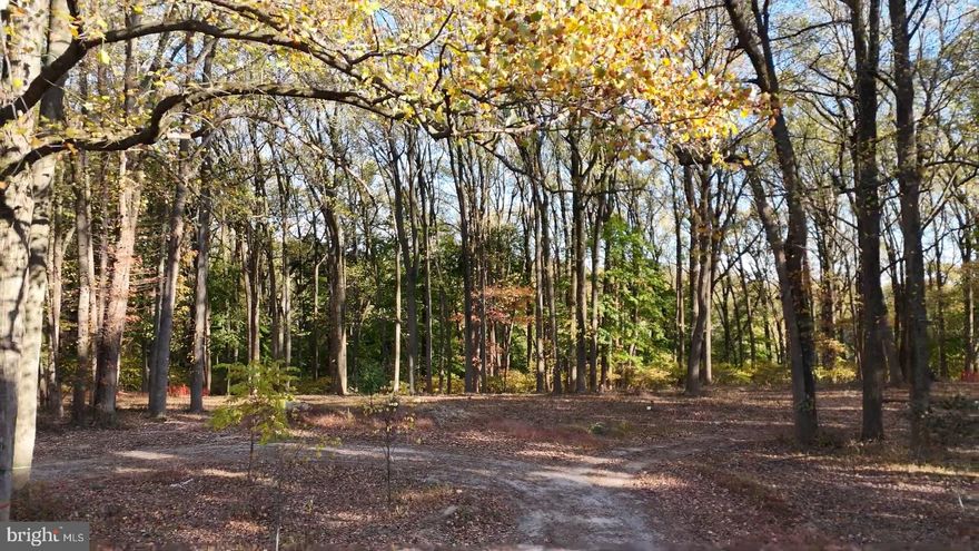 Now is your opportunity to build a truly custom dream home! Partnered with Harth’s expert build and design team to create a residence thoughtfully tailored to your lifestyle and needs.

Welcome to Port Royal Reserve – your sanctuary in the heart of nature located in Philadelphia’s most unique and serene neighborhood. This community of six home sites offers a harmonious blend of modern living and natural beauty. This location is perfect for those seeking a tranquil retreat from the hustle and bustle of downtown, yet sits within the city limits.

Immerse yourself in a tight-knit community that clearly shares a passion for sustainable living. It is an exceptional setting for those who appreciate connecting with nature and their community. Ideal for gardening, native plant landscaping to support local wildlife, and preserving the watershed.

Beyond this exceptional enclave, residents will delight in the convenience of proximity to the vibrant Main Street of Manayunk, the Avenue of Chestnut Hill, and of course, Center City. Outdoor enthusiasts will appreciate easy access to the foot trails of the picturesque Wissahickon, while golf aficionados can indulge in leisurely rounds at the nearby Union League Liberty Hill golf course.

Port Royal Reserve embodies a lifestyle that prioritizes harmony and connection to nature, community, and a more sustainable way of living. Schedule a visit today and see why Port Royal Reserve is the perfect place to call home.

This homesite is available exclusively with Harth Builders, ensuring a custom-built residence crafted with exceptional quality and attention to detail. Purchase of the lot requires a construction agreement with Harth Builders. 

Please note: This is a land-only listing. There are no existing homes on the property, but it offers great potential for new construction.