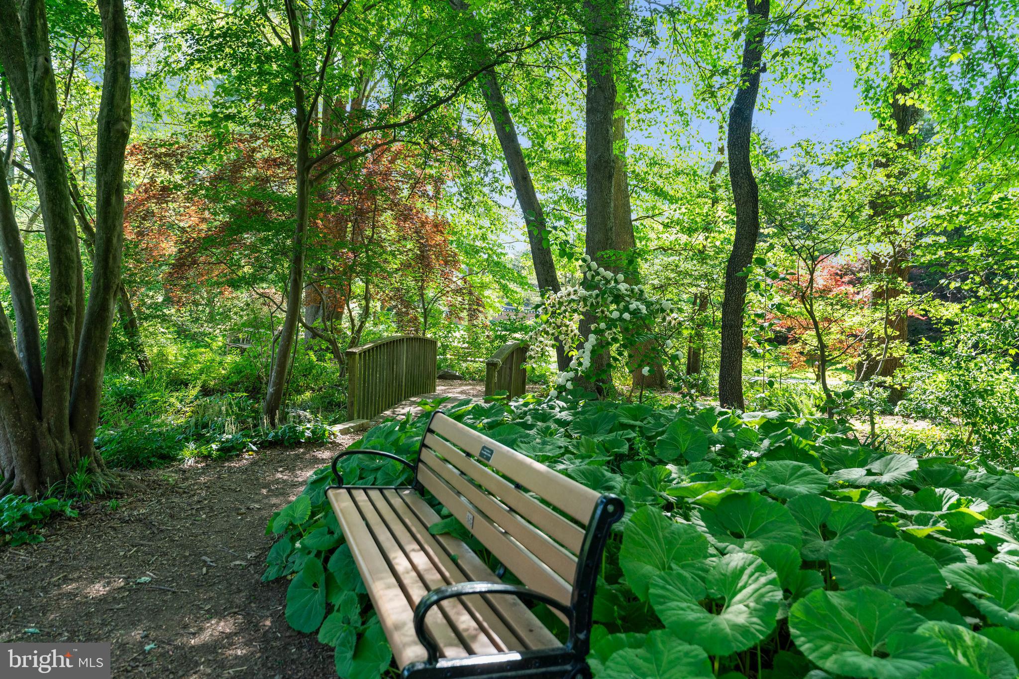 SYMPHONY MEADOWS - Residential