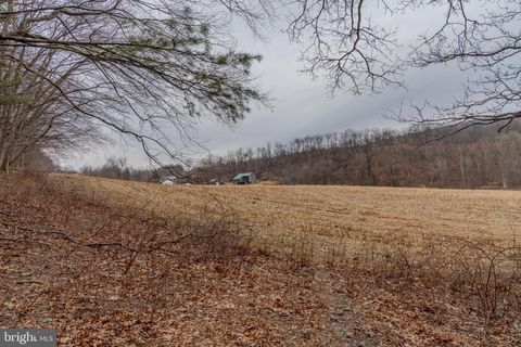 Vacant Land For Sale - Vanormer Road #1 PARCEL<br/> Juniata County, MC ALISTERVILLE, PA 17049