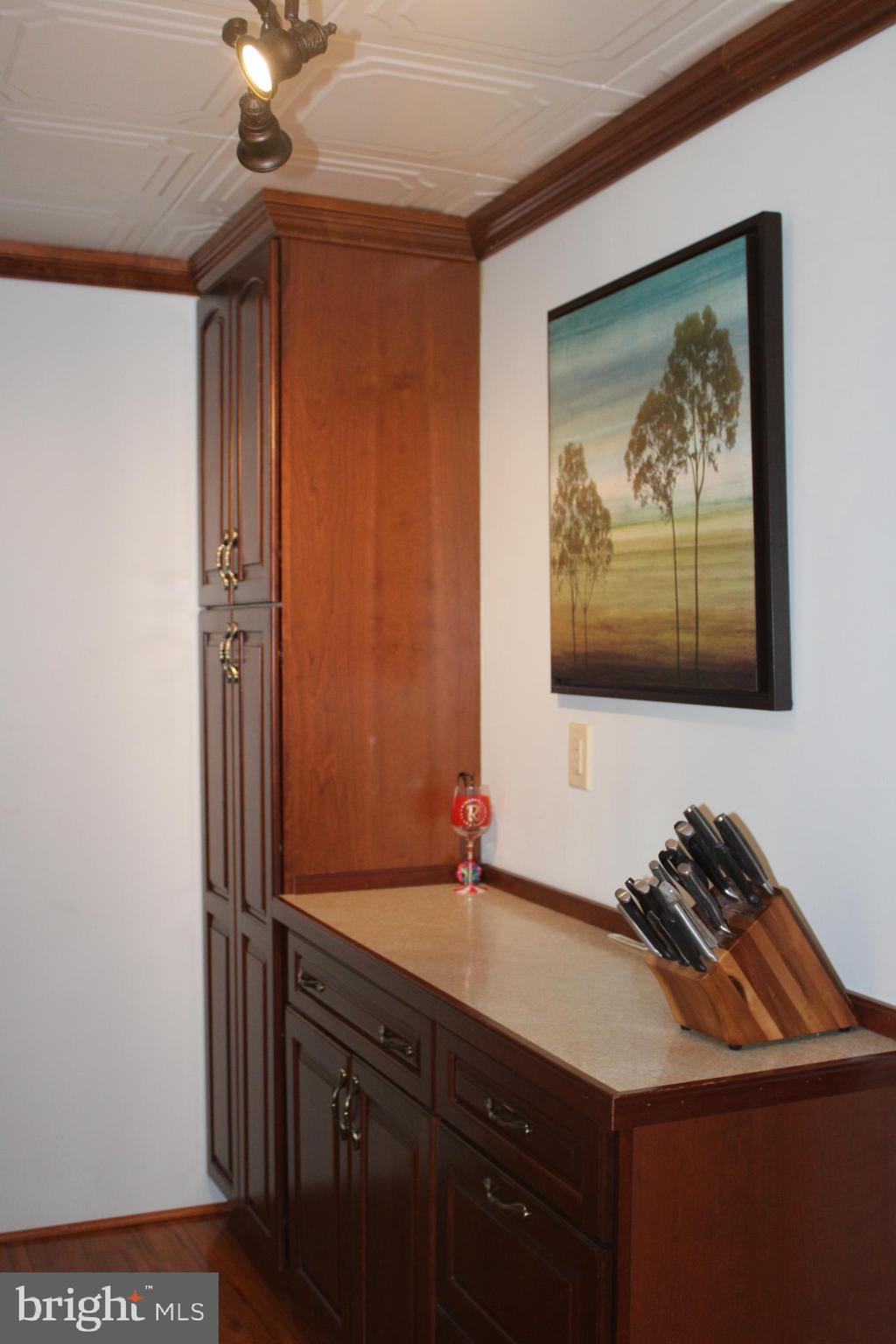 RIDLEY PARK - Residential