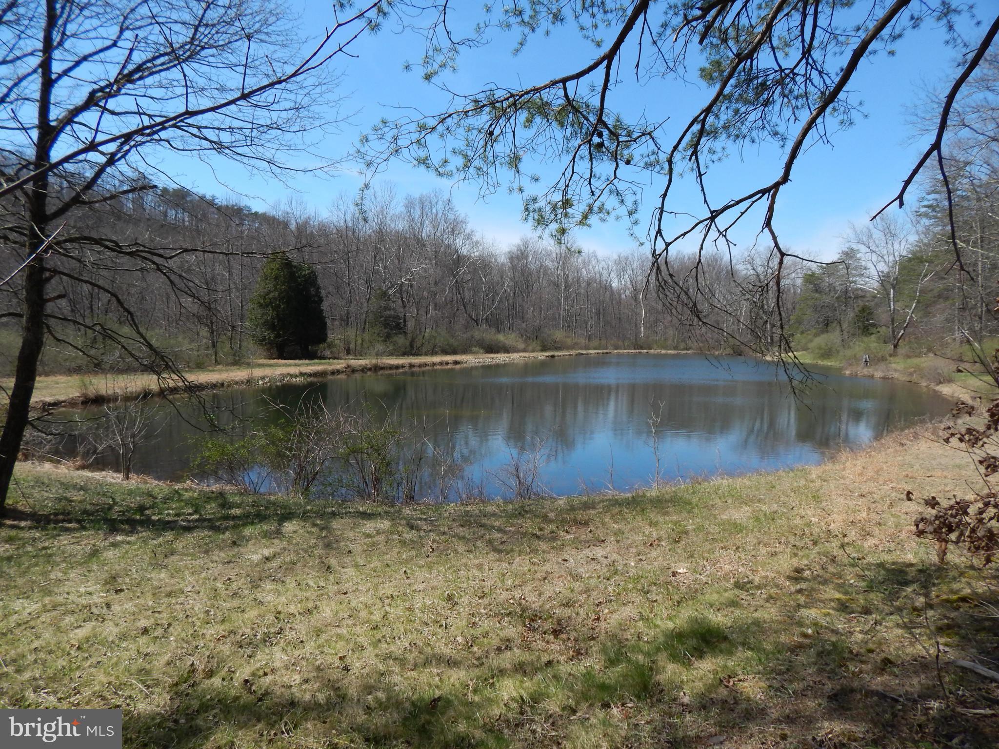 SLEEPY CREEK FOREST - Land