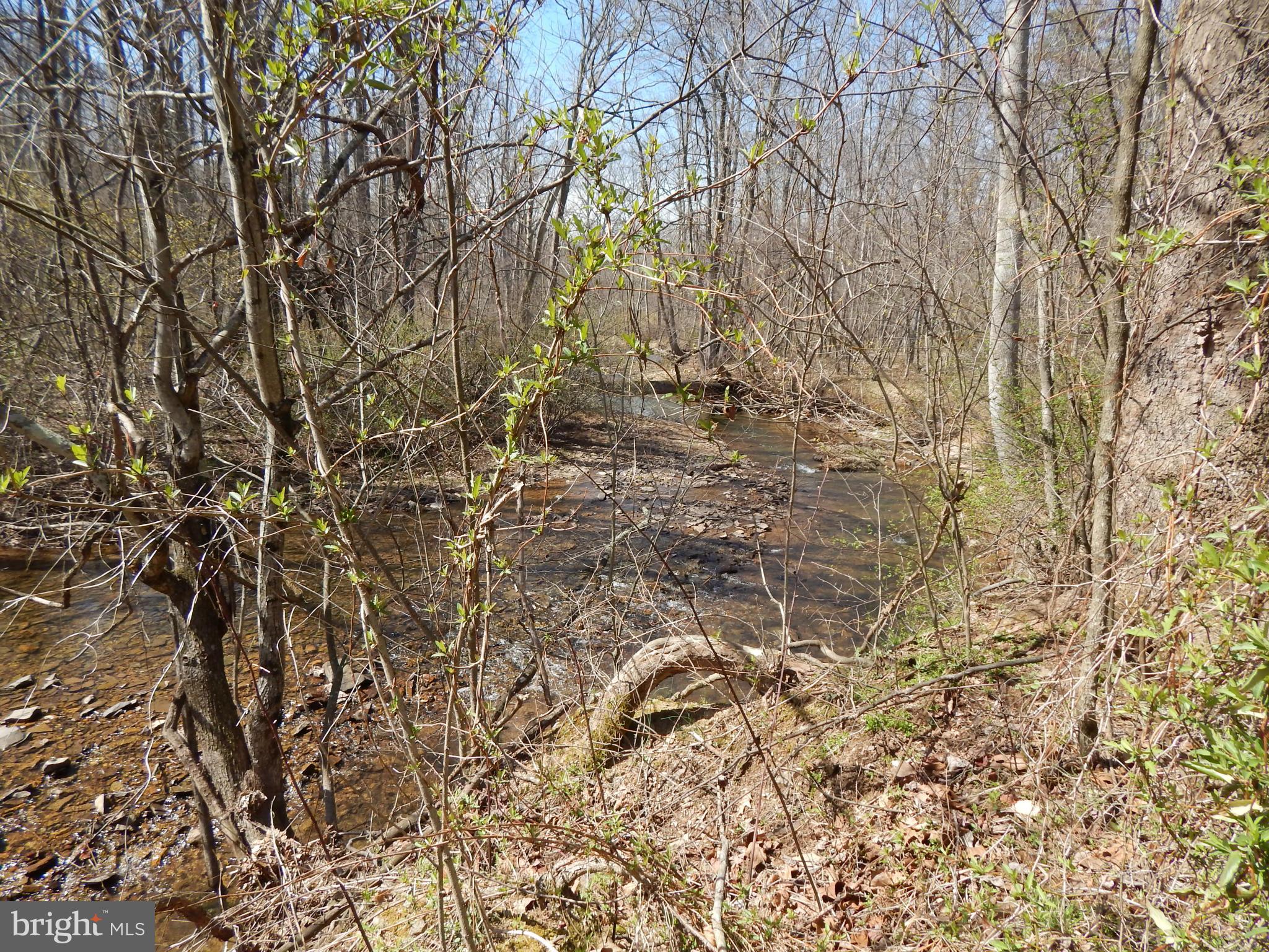 SLEEPY CREEK FOREST - Land