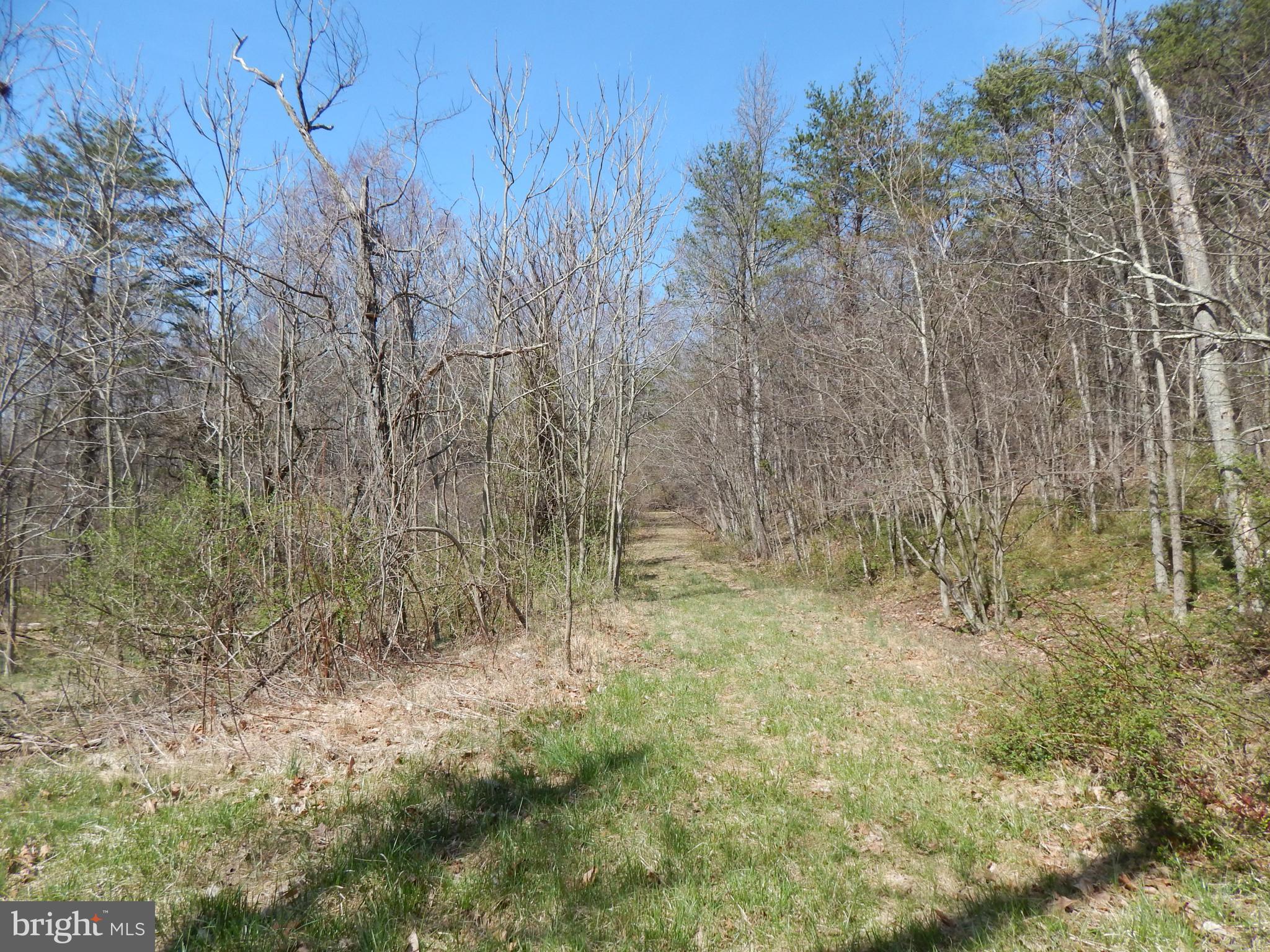 SLEEPY CREEK FOREST - Land