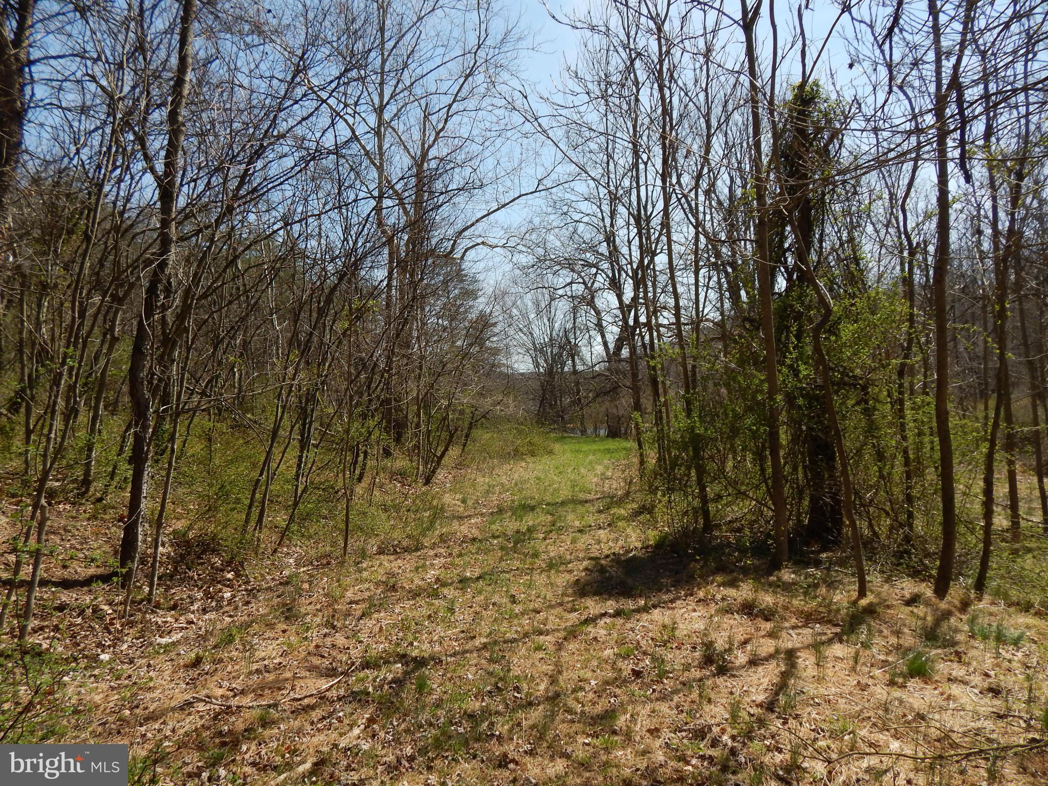 SLEEPY CREEK FOREST - Land