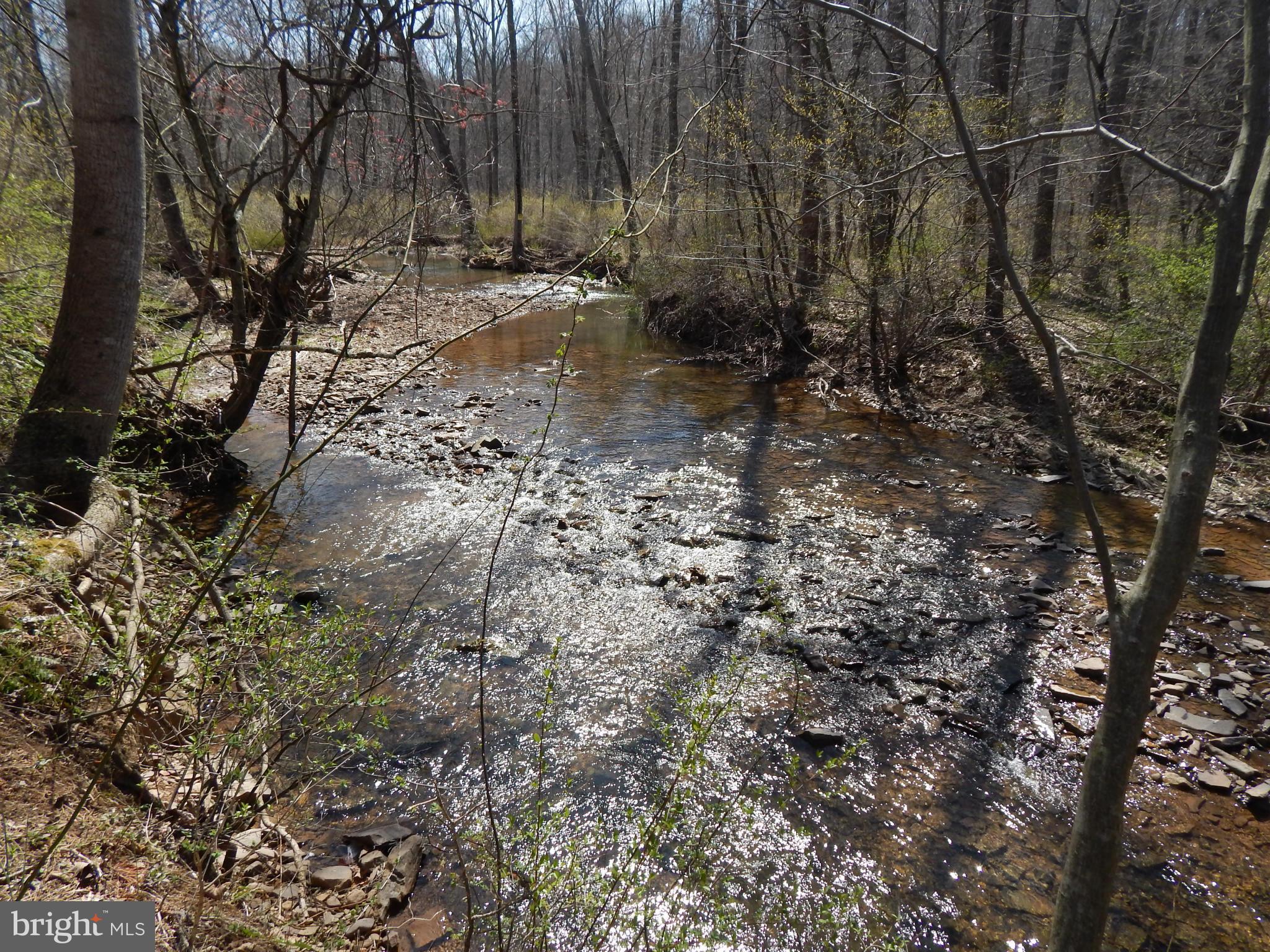SLEEPY CREEK FOREST - Land