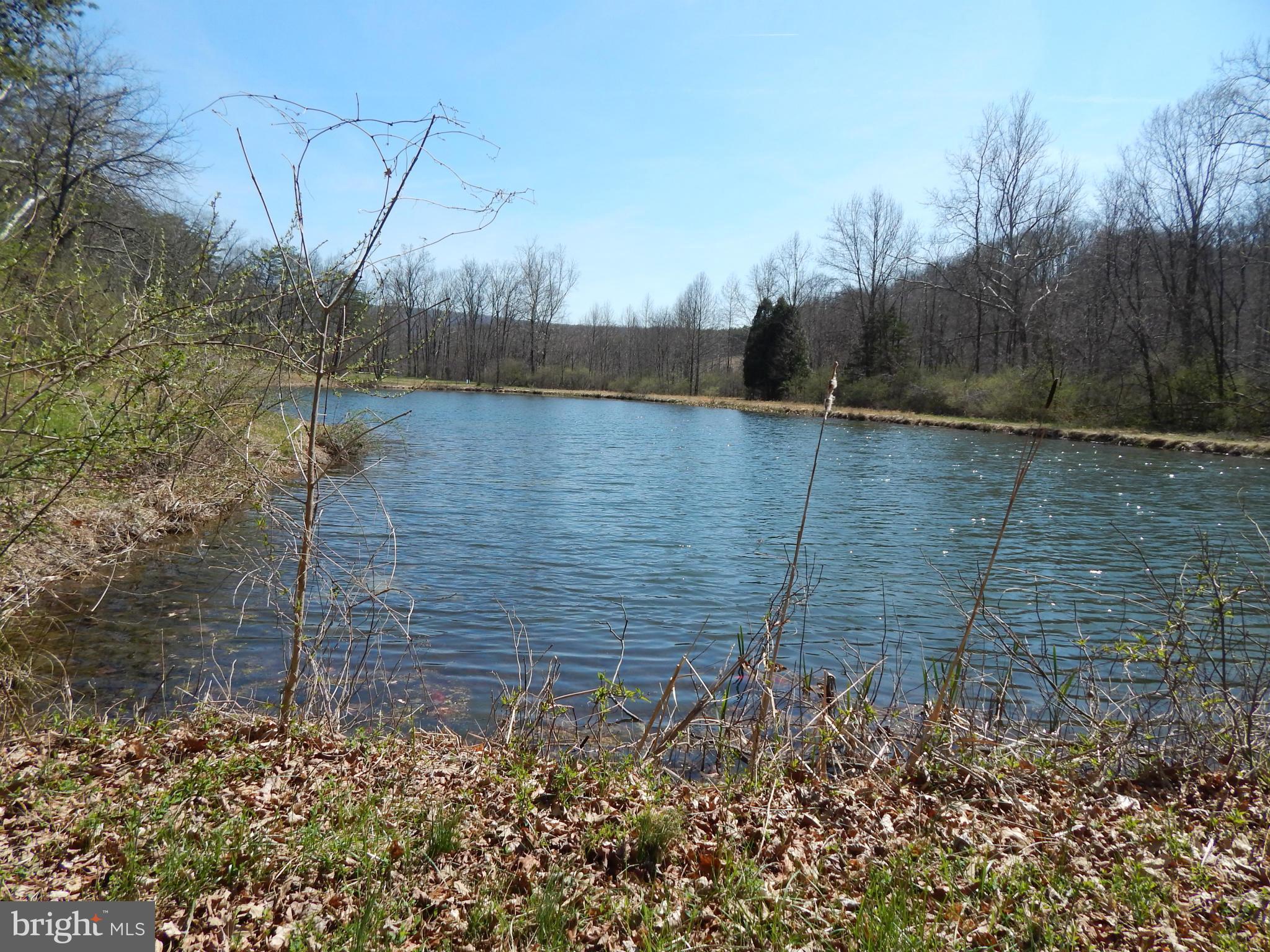 SLEEPY CREEK FOREST - Land