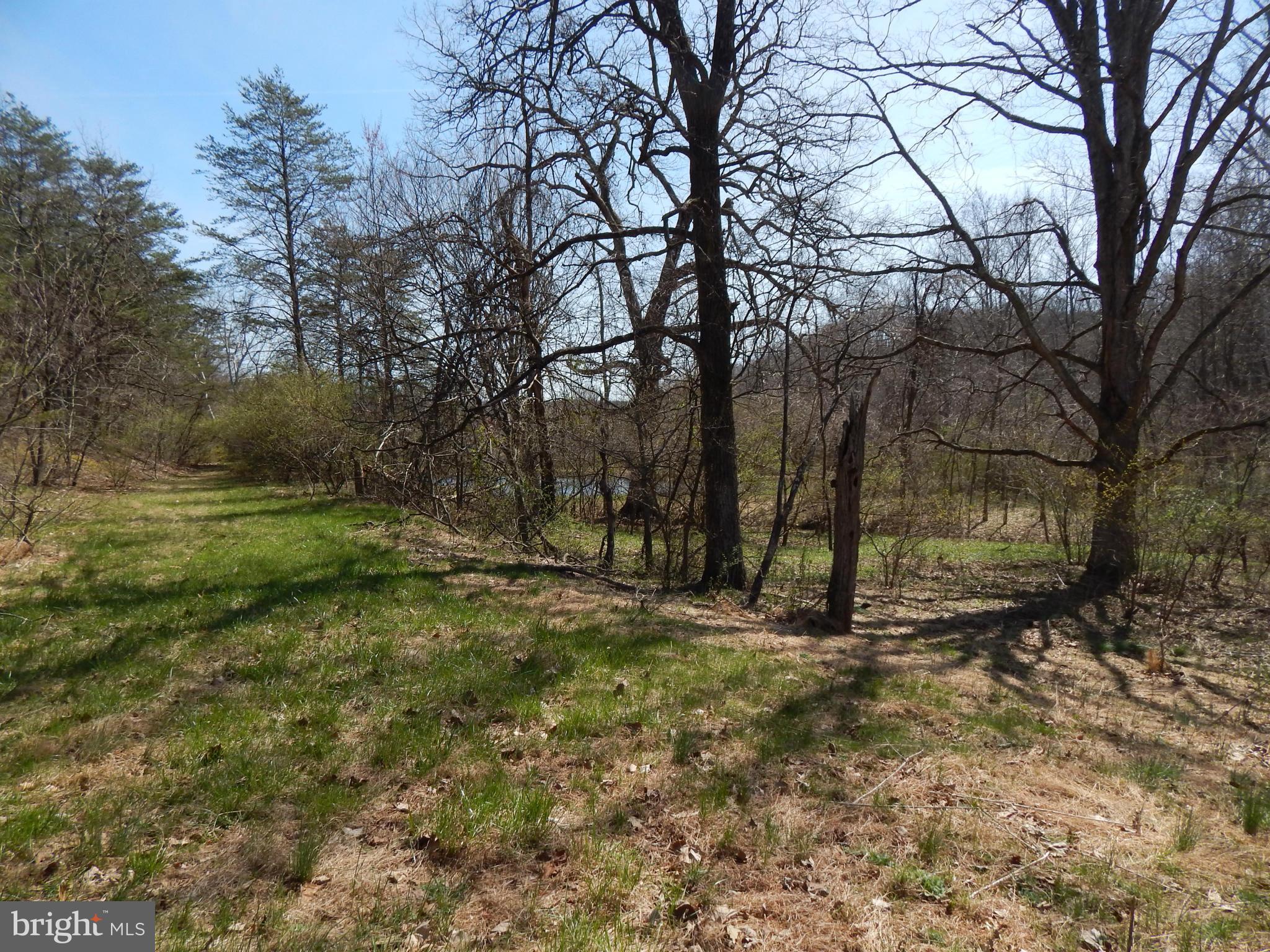 SLEEPY CREEK FOREST - Land