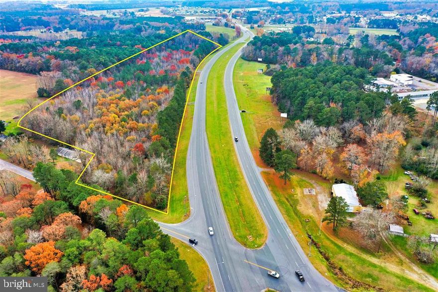 PRICE TO SELL! Zoned Commercial – Great Investment Property! This property is being sold at tax-assessed value—a rare opportunity! Brand new soil test completed by Worcester County—this prime commercial lot is ready for development! Located along US 113 (Worcester Highway) with extensive road frontage, it offers high visibility and endless potential. A completed perk test and new survey is on file. Just minutes from Ocean City and Chincoteague, VA, this is a fantastic opportunity for investors and developers alike!