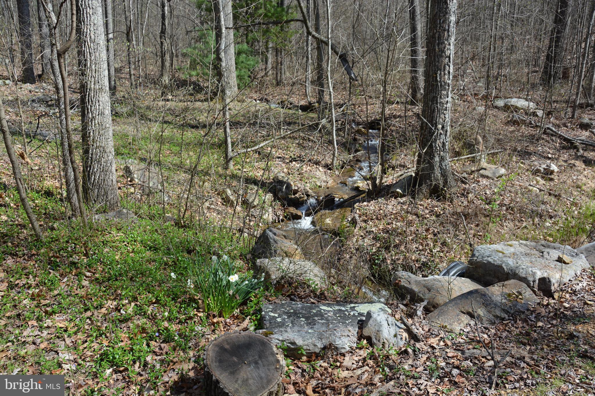 NORTH MOUNTAIN ESTATES - Land