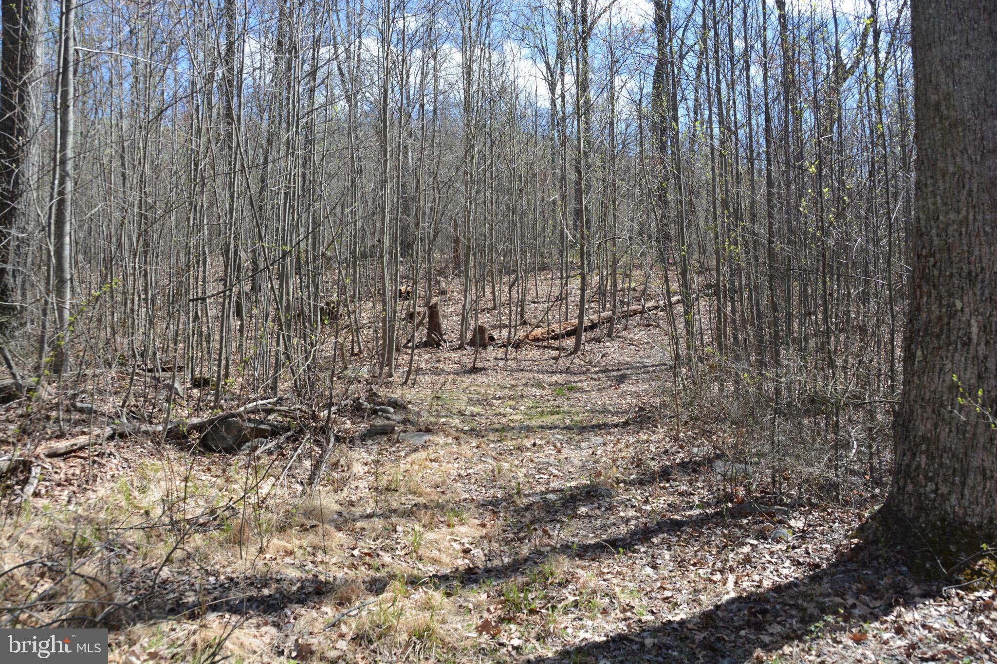 NORTH MOUNTAIN ESTATES - Land