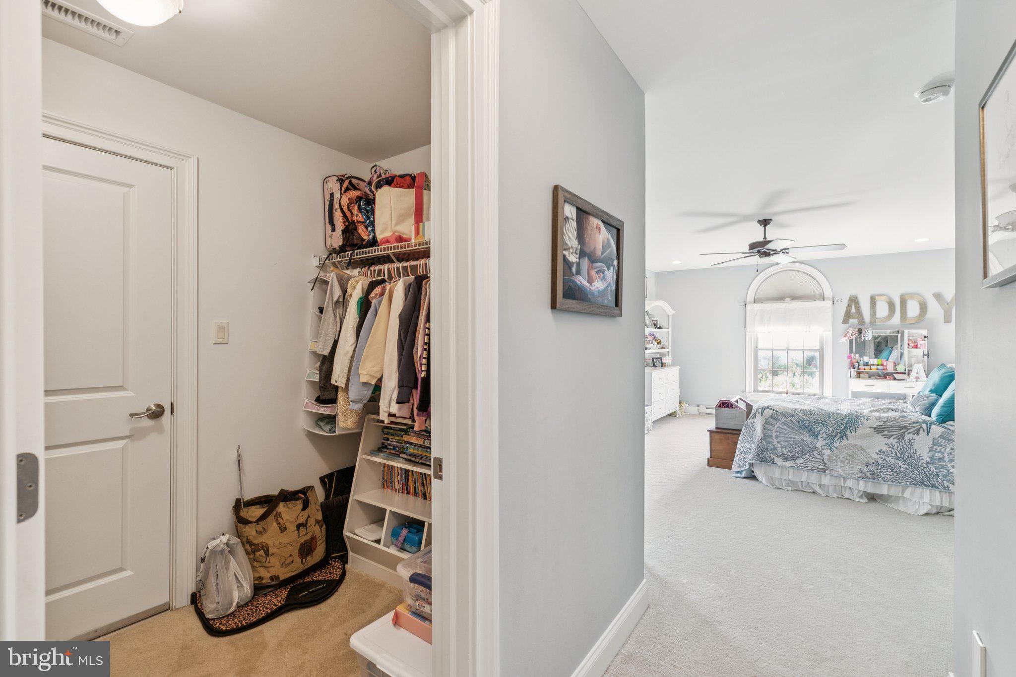 BELAMOUR - Residential