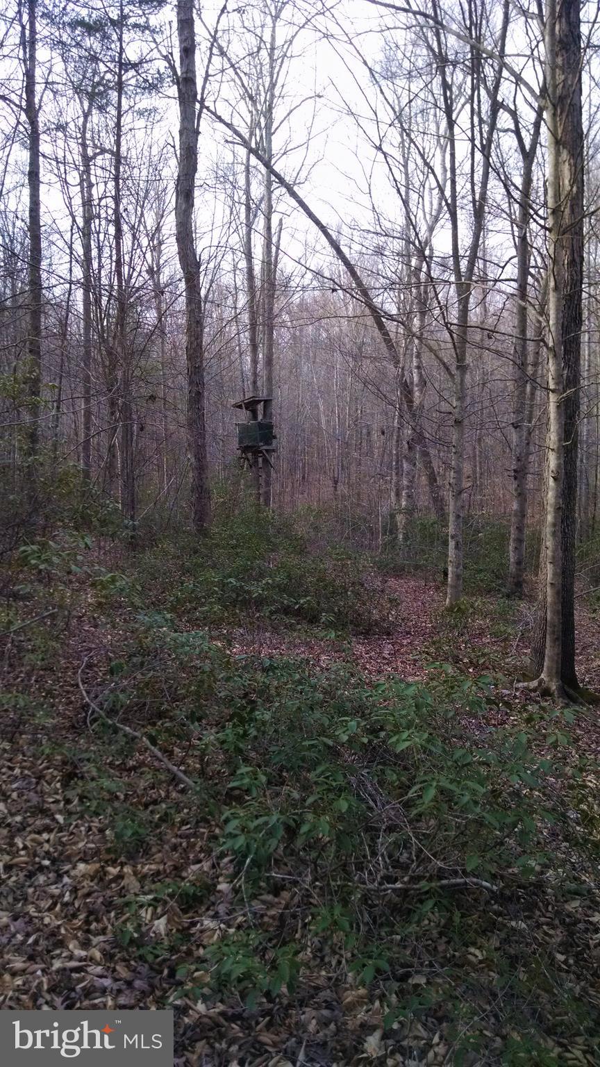 NONE AVAILABLE - Land