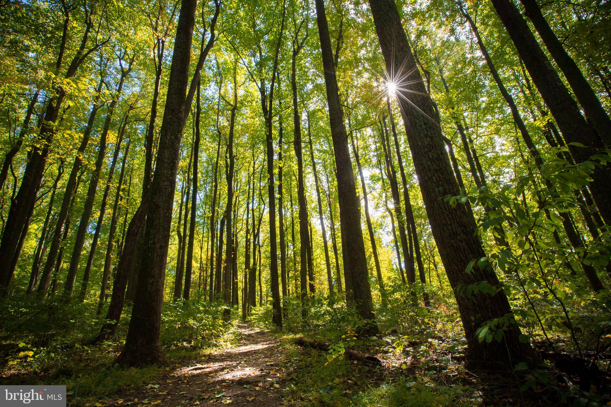 NONE AVAILABLE - Land