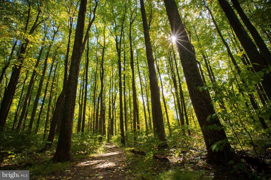 Must see 40+ beautiful acres in northern area of historic Orange county. SO MANY POSSIBILITIES!!! Developers: DOUBLE ROAD FRONTAGE with slight slope for possible walkout basements. HUNTERS (current use): very private and secluded. Deer stands in place with food plot. TIMBER: lots of mature hardwoods on the property.  Available by appointment only.