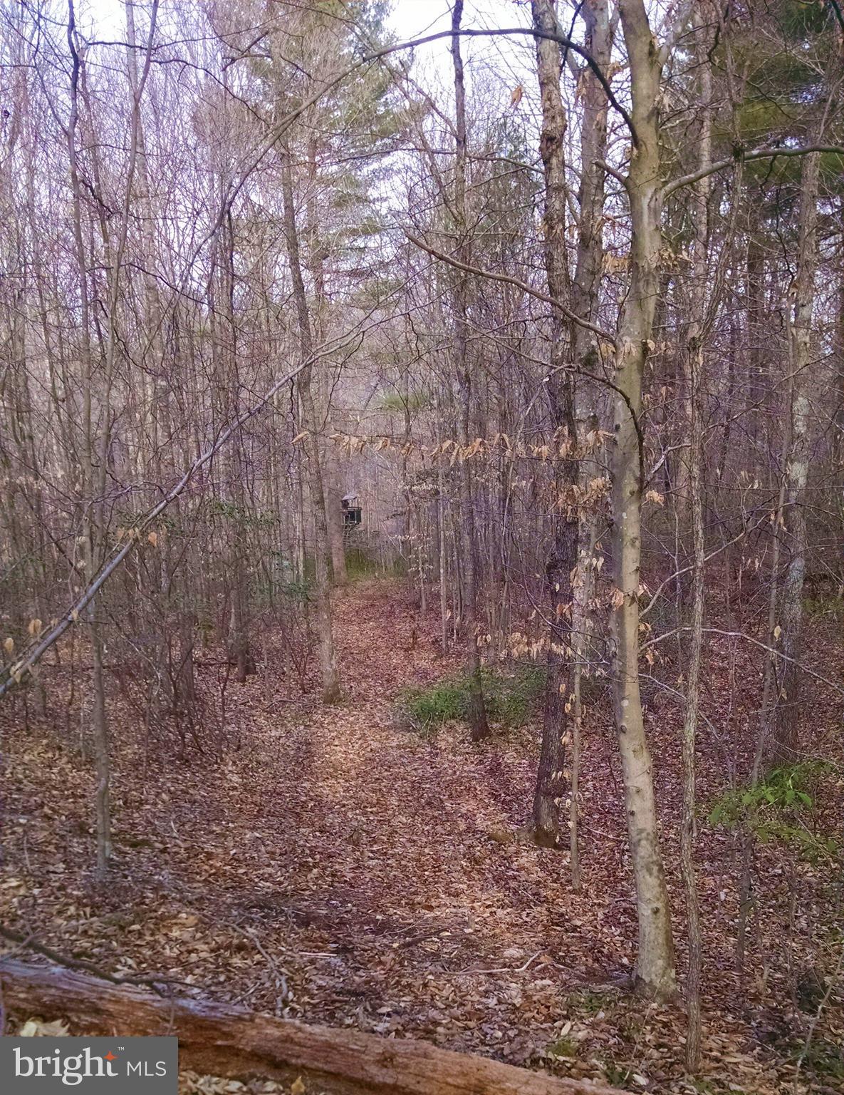 NONE AVAILABLE - Land