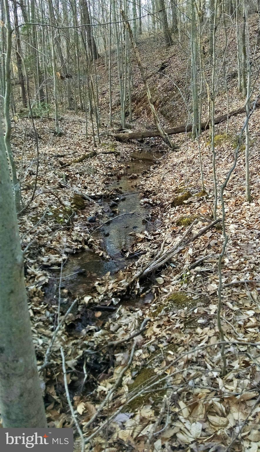 NONE AVAILABLE - Land