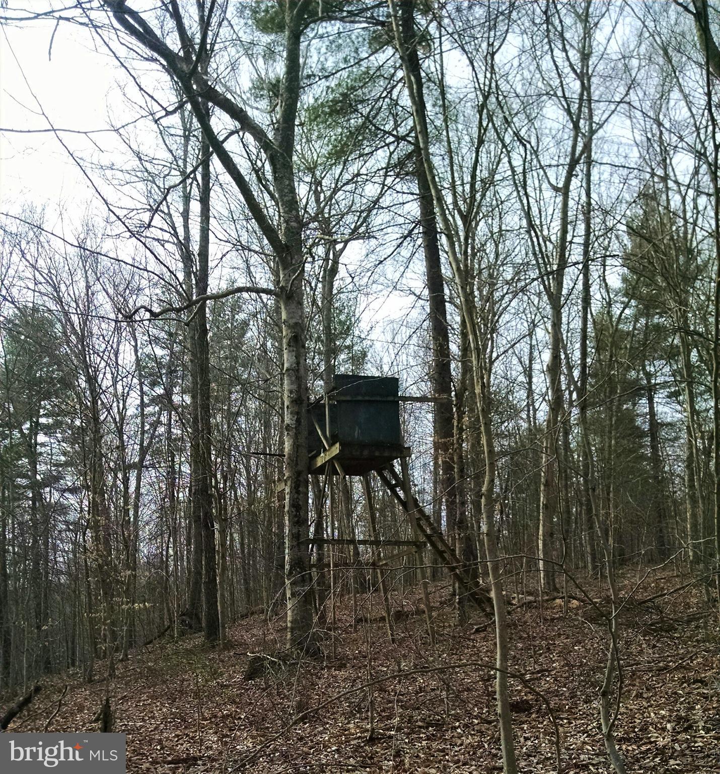 NONE AVAILABLE - Land