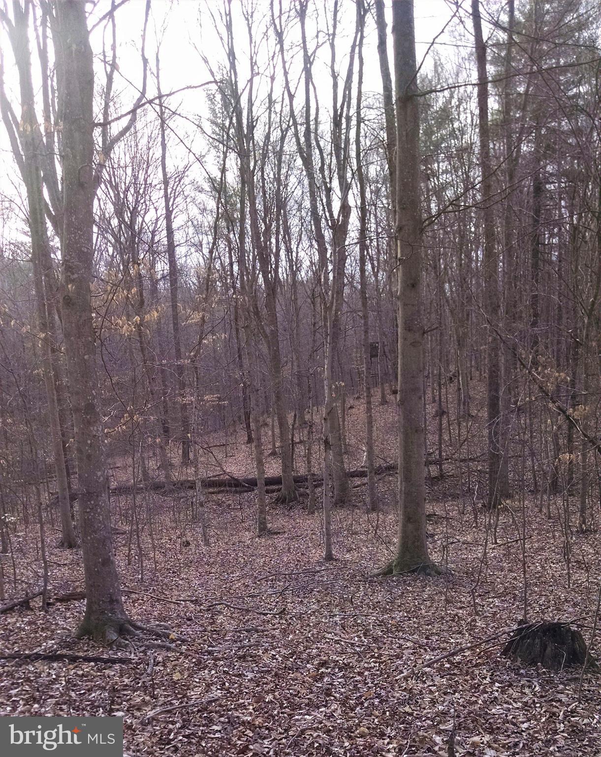 NONE AVAILABLE - Land