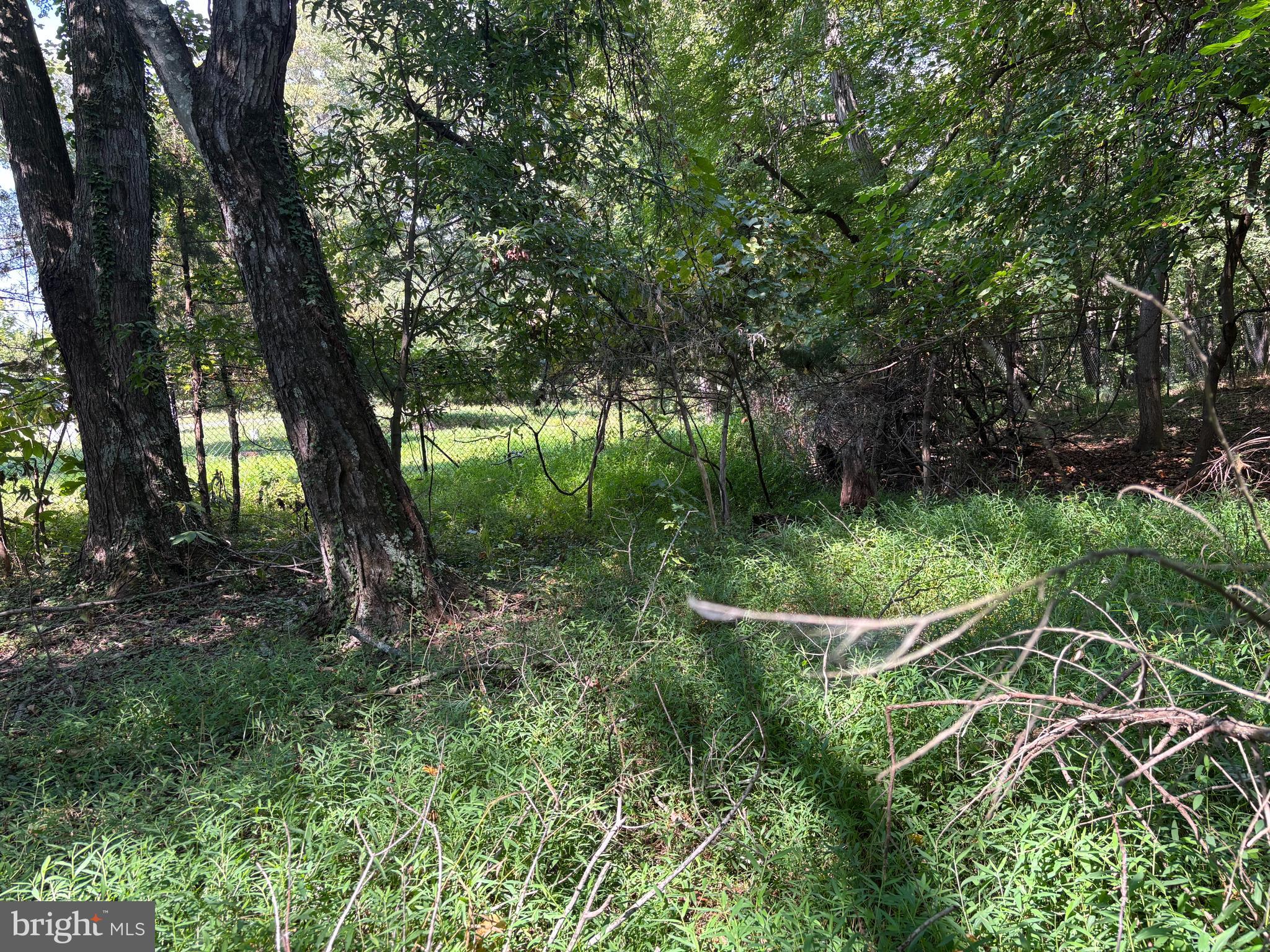 10807 RIVERVIEW ROAD