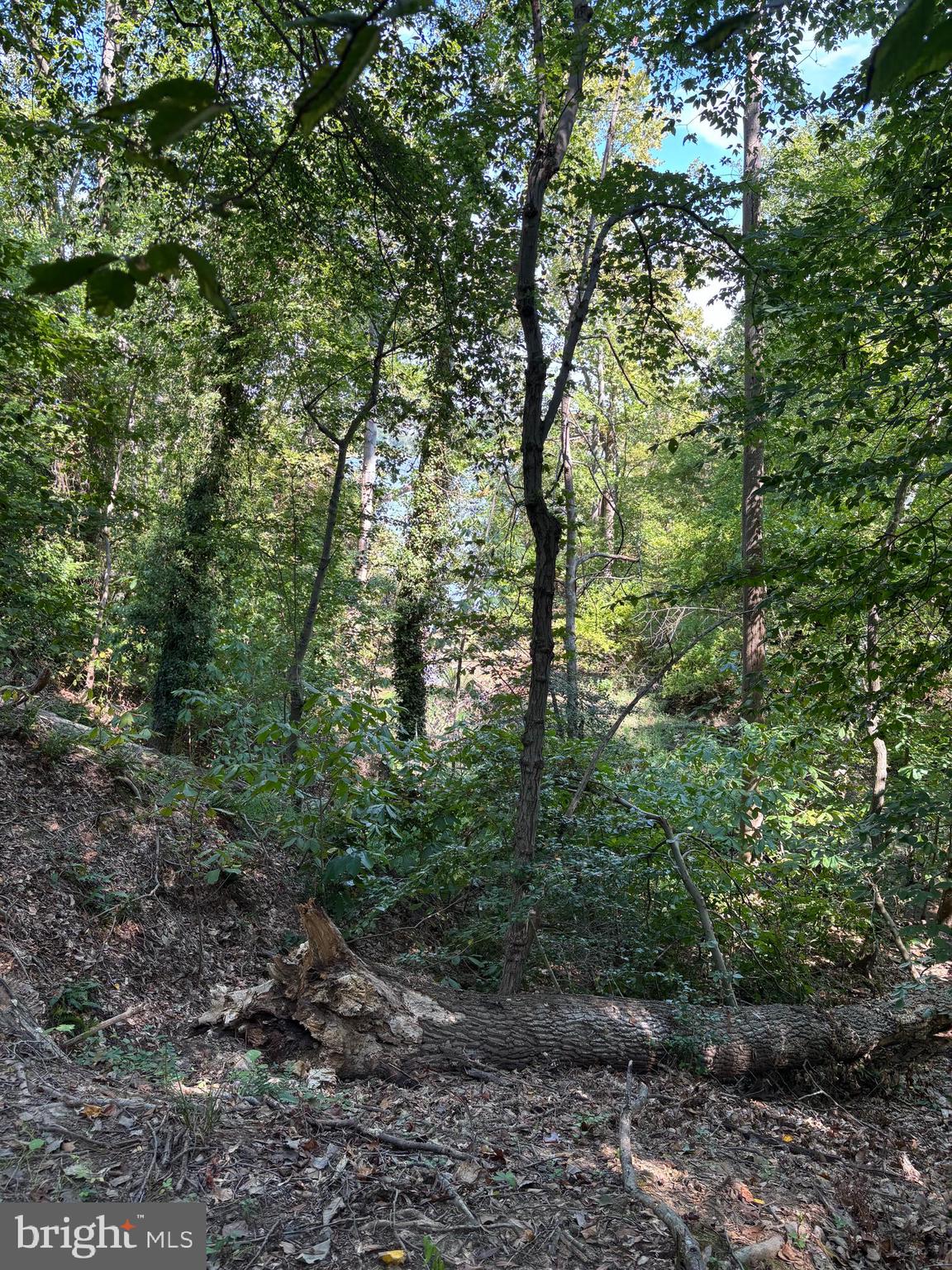 10807 RIVERVIEW ROAD